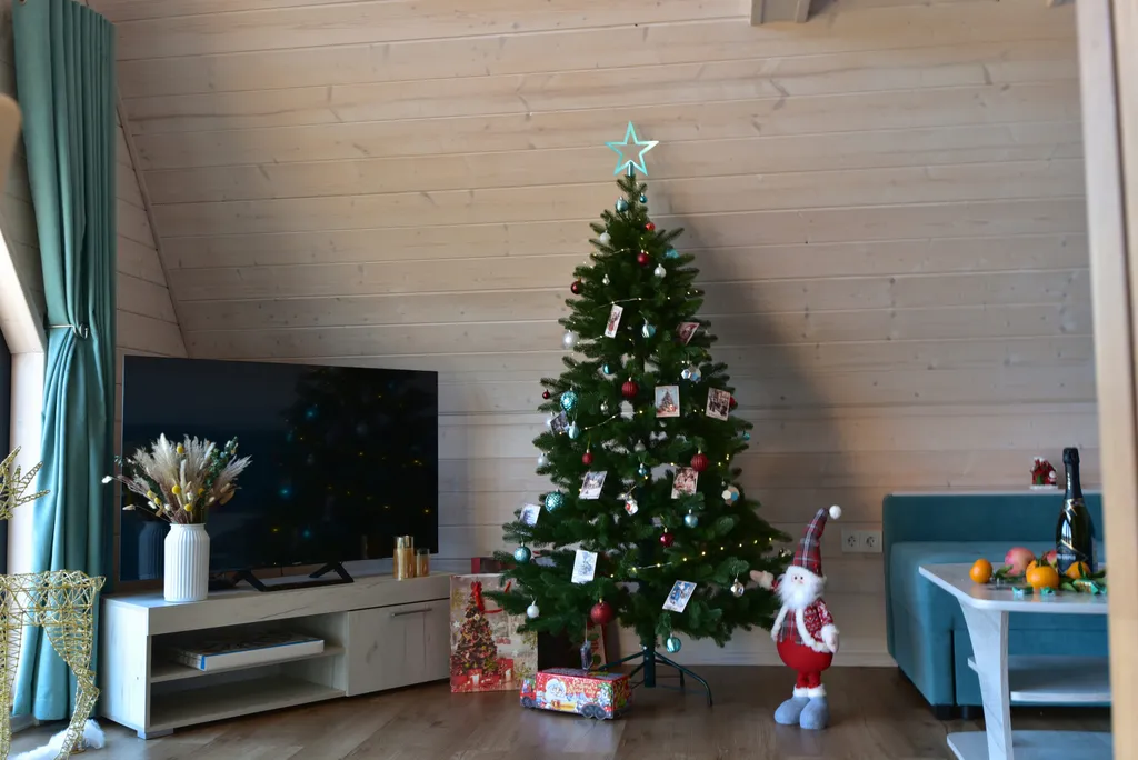 Апарт Афрейм в Чемальской долине