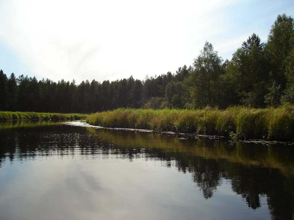 Коттедж Коттедж Селигерское — Березово