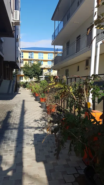 Квартира 1-комнатная Квартира — Адлер