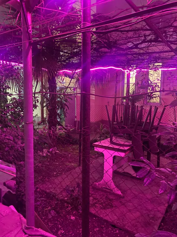 Квартира Уютная 2-х квартира у моря — Адлер