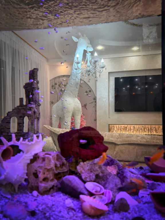 Квартира Квартира Глянцевый дизайн — Санкт-Петербург