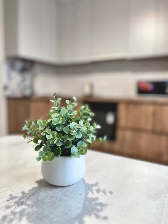 Grand Turan Apartments