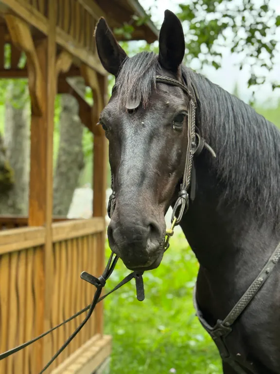 Коттедж 2-комнатный Дом — Архыз