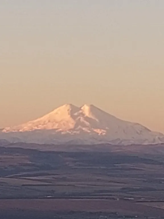 Уютная квартира в цветнике