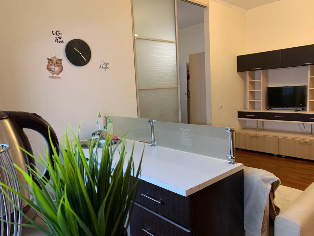 Уютная студия в центре города