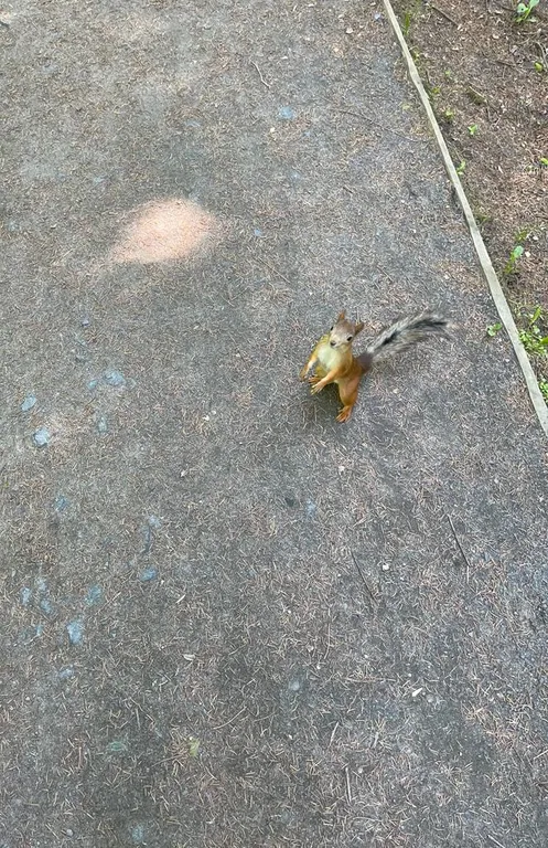 Стильная квартира с видом на парк