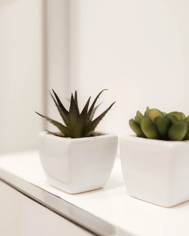 Прекрасная студия в центре