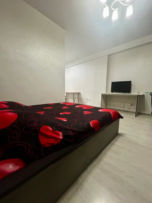 Просторная студия у парка