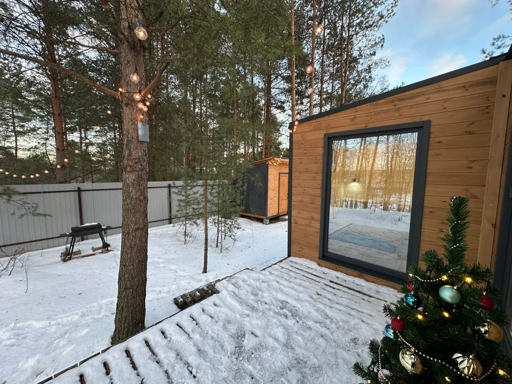 Дом Скандинавия Лес