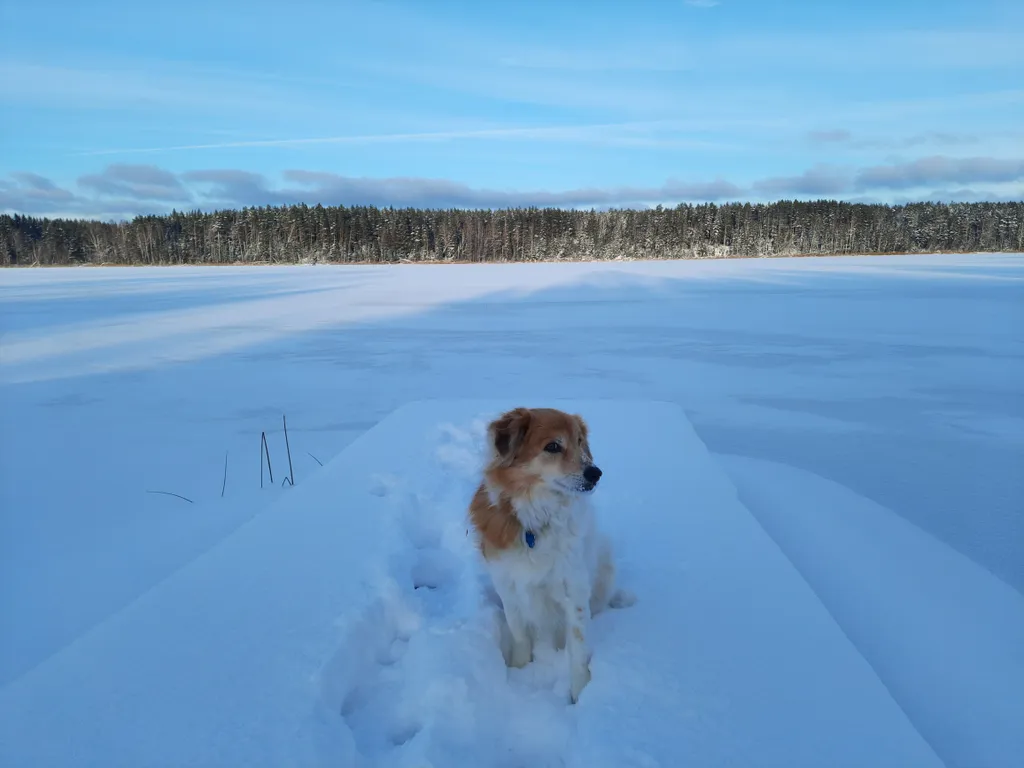 Домик с видом на озеро