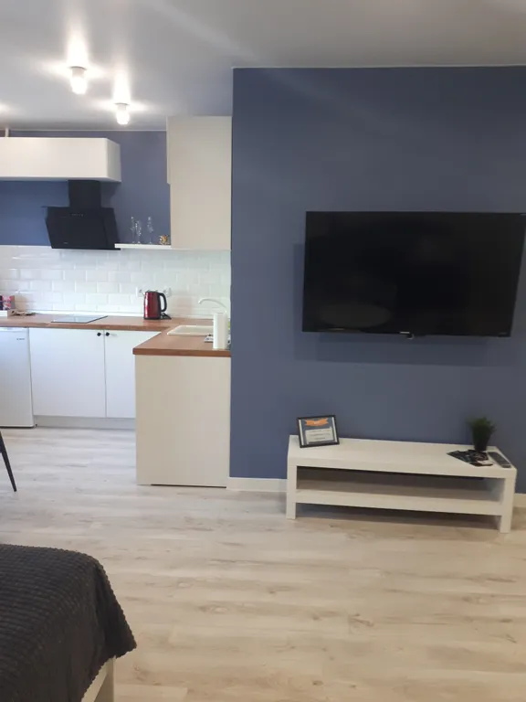 Уютные апартаменты в самом центре города