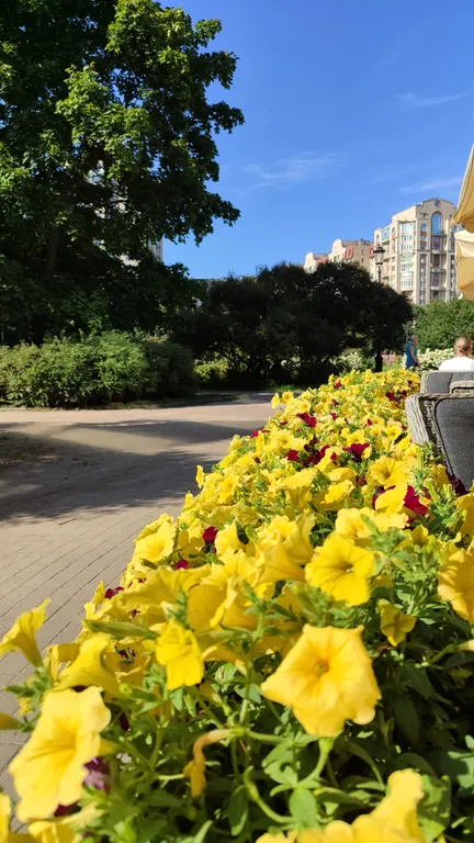 Квартира Комфортные апартаменты с кондиционером на берегу Финского залива — Санкт-Петербург