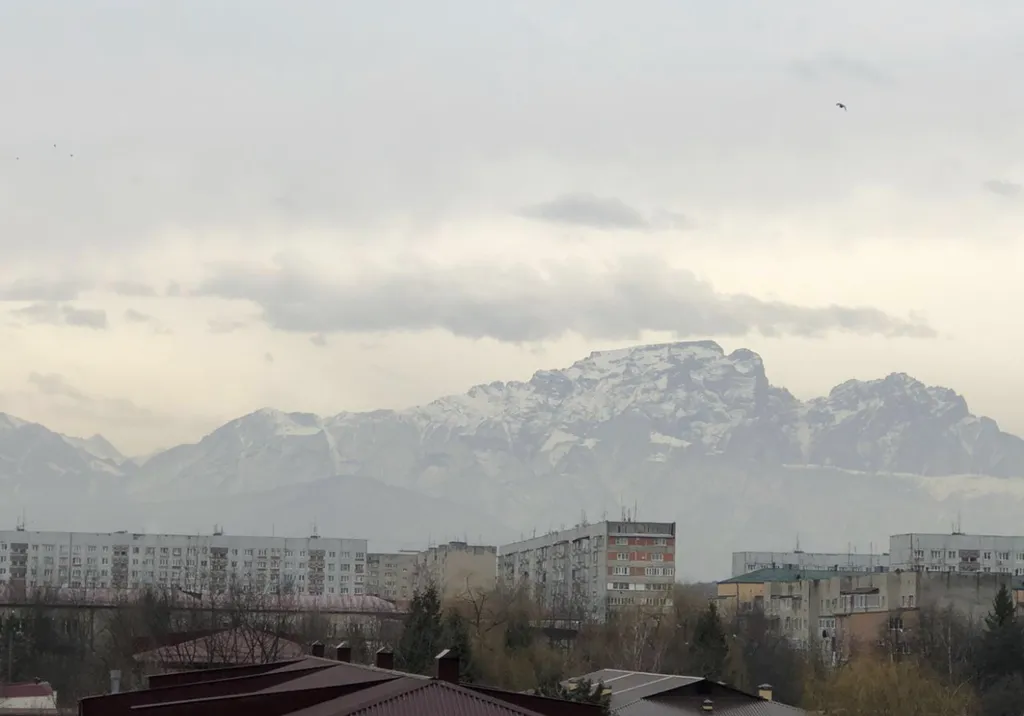 Уютная квартира в районе Олимпийского парка и ГИБДД