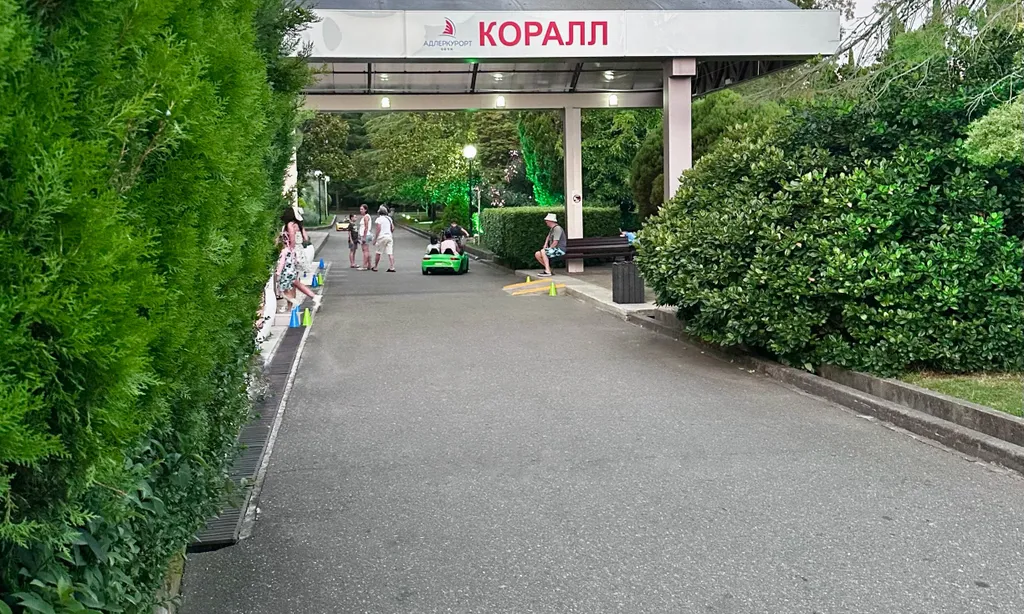 Квартира Квартира Просторная студия у моря на 2-5 гостей, терраса с панорамным видом — Адлер