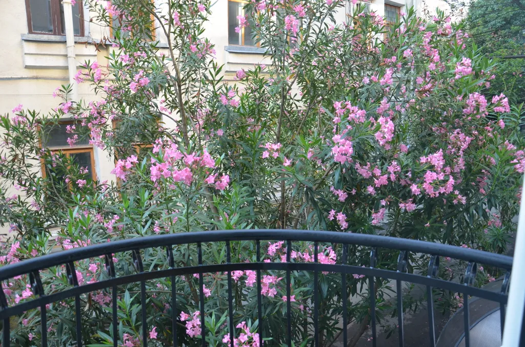 Уютные Апартаменты в центре города с 3-балконами