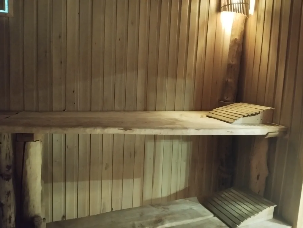 Хутор Избушка на опушке леса, возле реки