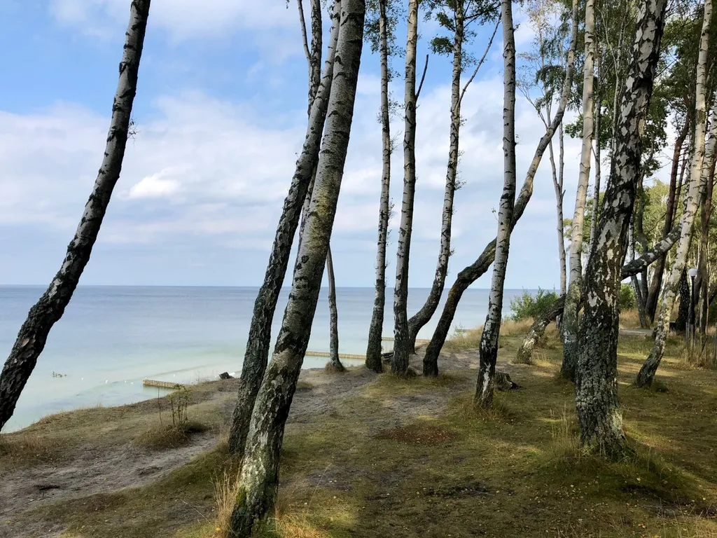 Квартира Однокомнатная квартира у моря и соснового бора — Пионерский