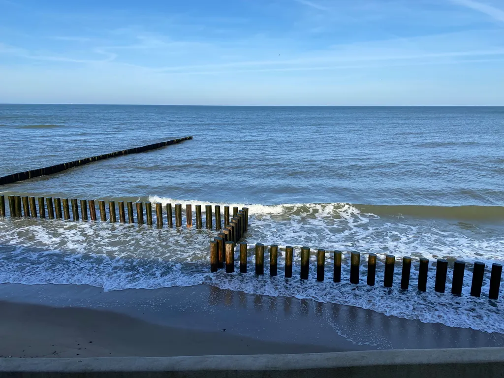 Квартира Солнечная квартира у моря — Светлогорск