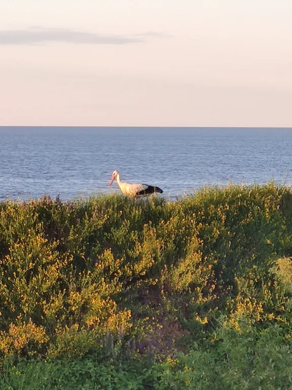 Домик на озере Ильмень с терассой