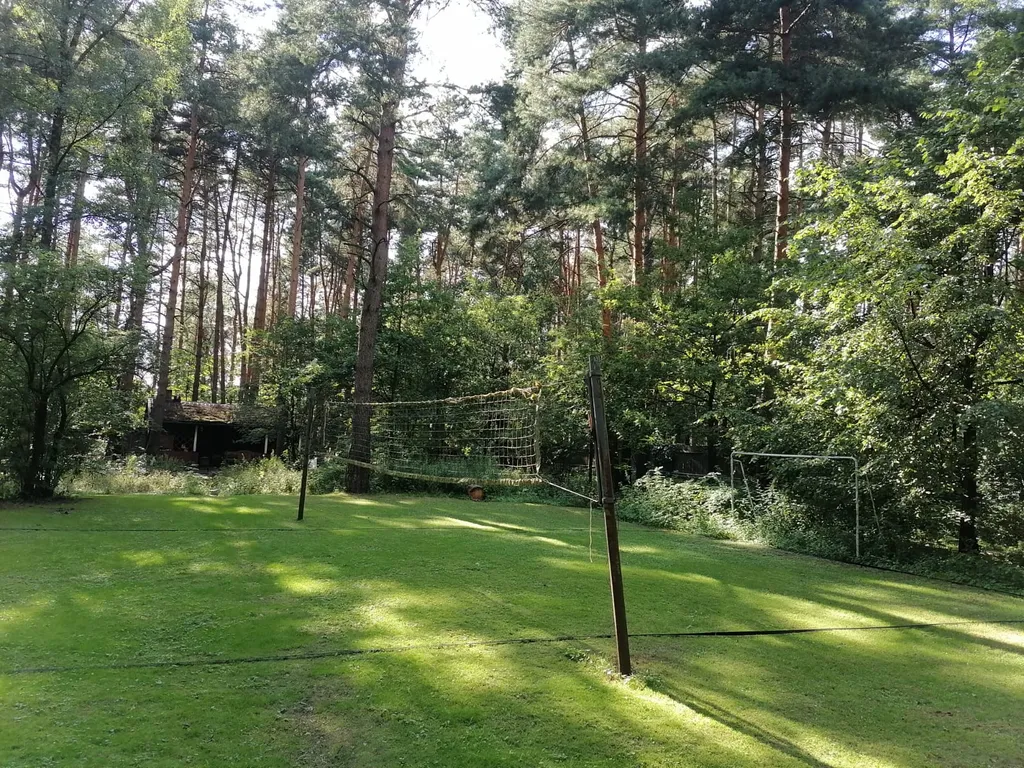 Уютный коттедж в сосновом лесу рядом с Москвой