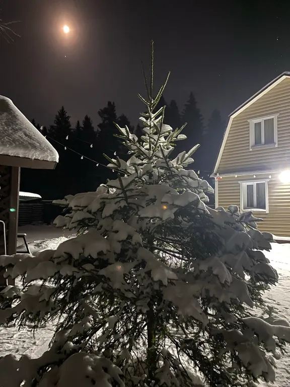 Берлога люкс, коттедж с банным чаном для отдыха с видом на лес и скалы