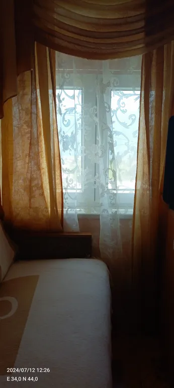 Аисты с видом на море