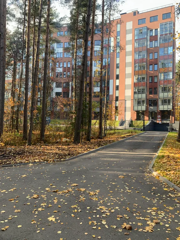 Студия с видом на сосны в Зеленогорске, закрытая территория