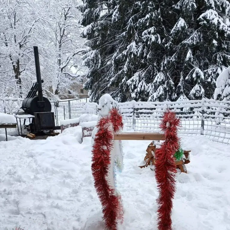 Студия с видом на Шуваловский парк