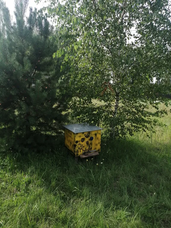 Уютный дом на берегу озера с баней на дровах