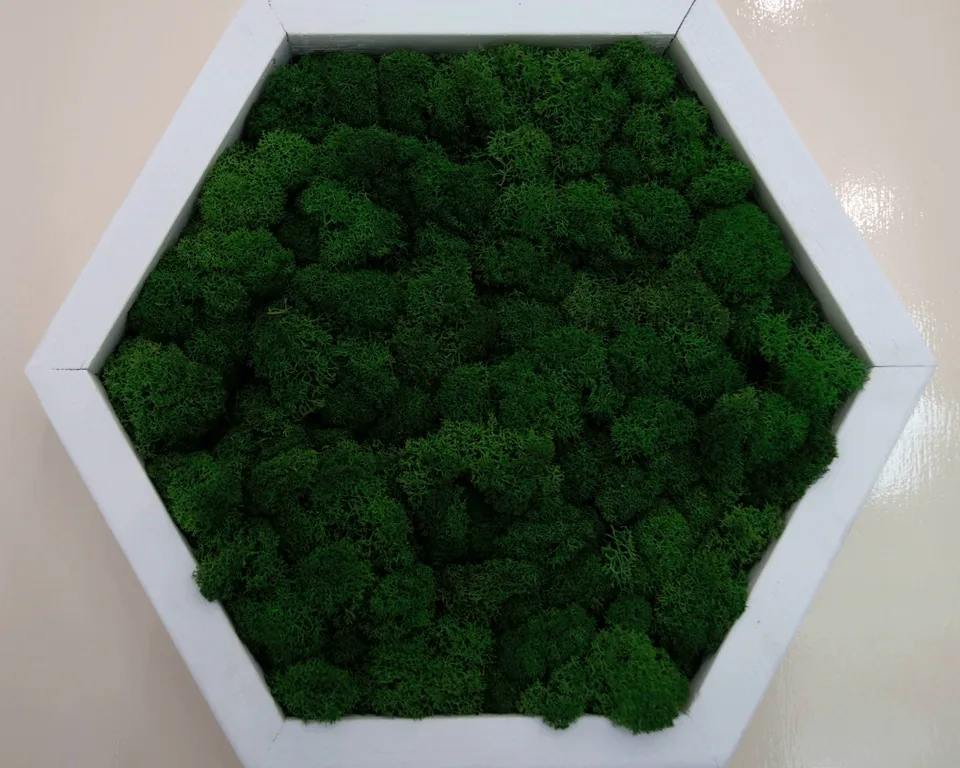 Студия уединения и комфорта в Солотче