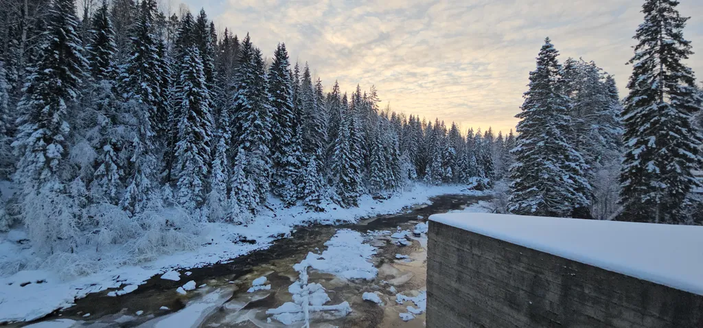 Лесной островок - дом в тихом уютном месте Карелии