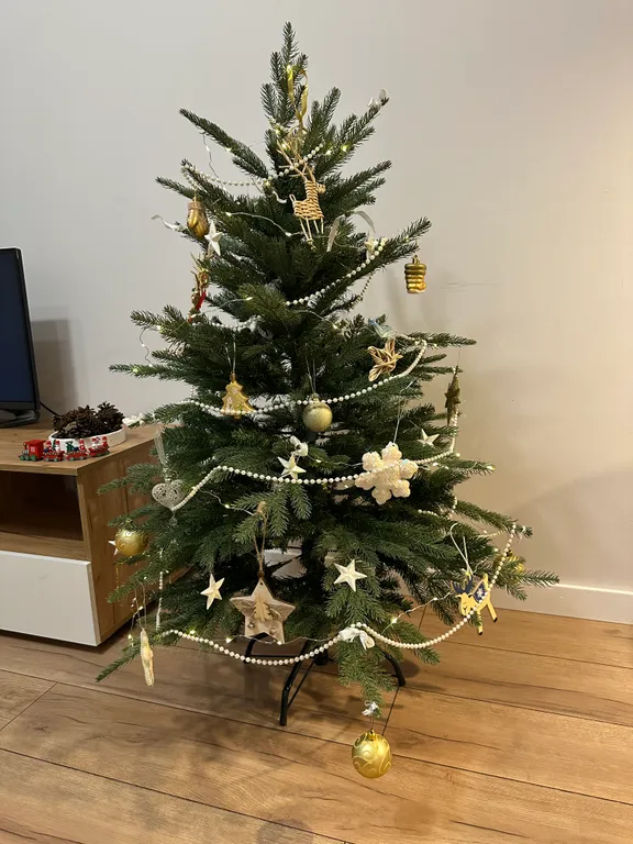 Прекрасный апартамент на берегу Онежского озера