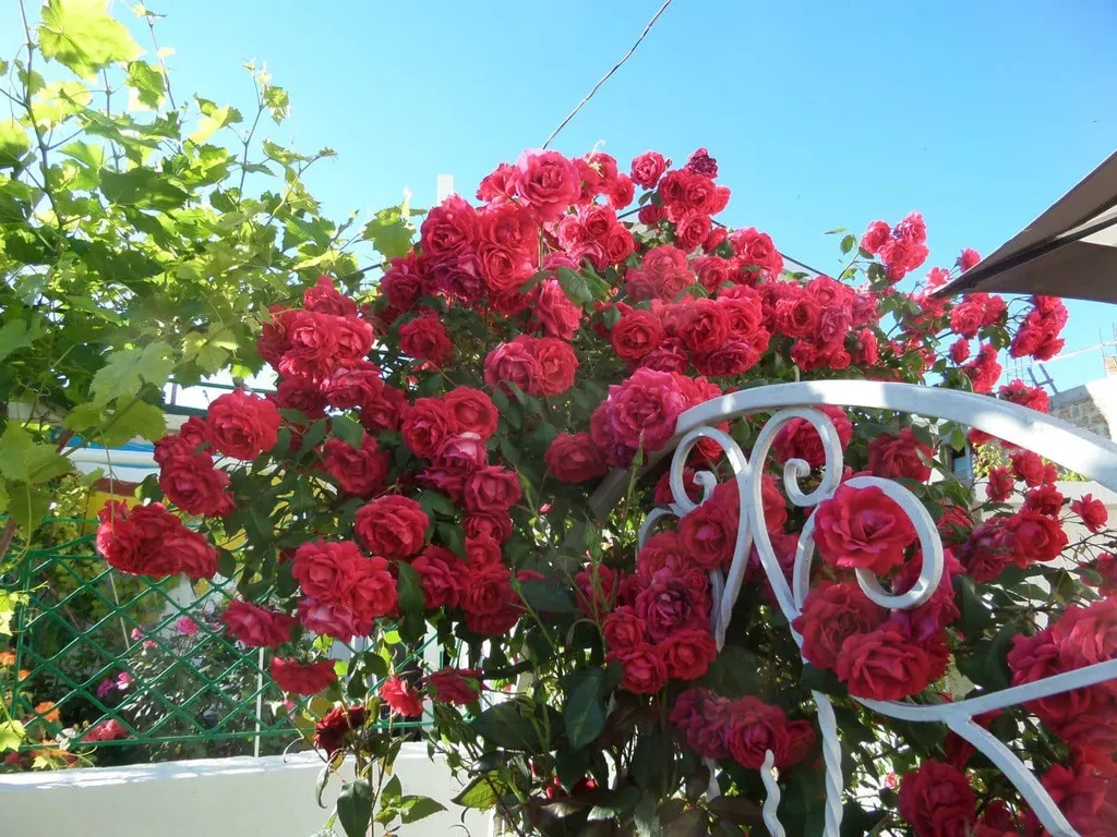 Коттедж 2-комнатный Дом — Евпатория