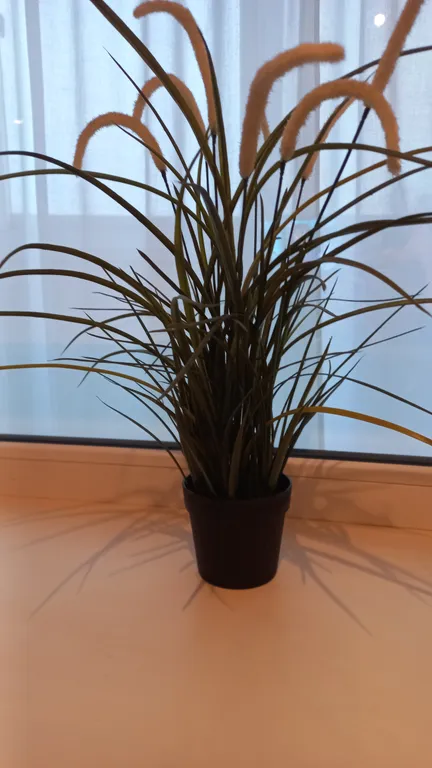 Уютная квартира - студия в центре города на площади Победы