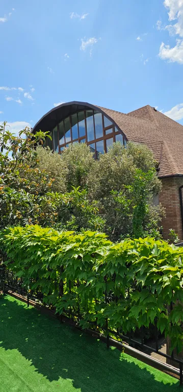 Солнце Ялты