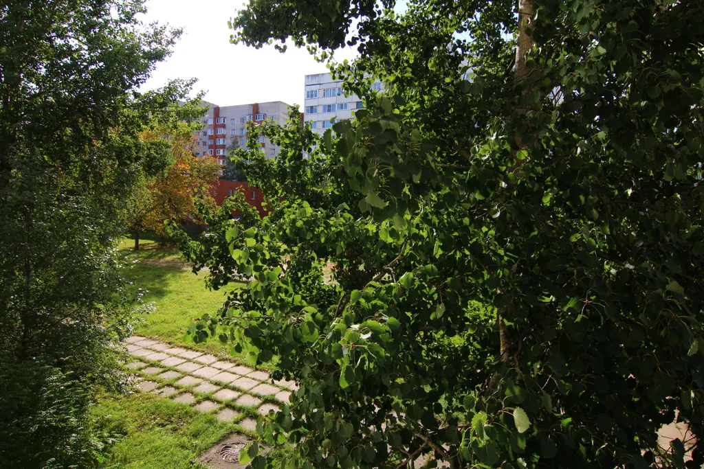 Квартира класса стандарт