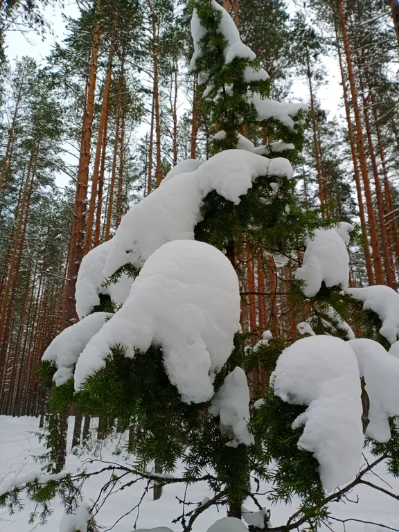 Коттедж 2-комнатный Дом — Мичуринское