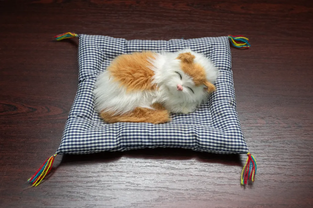 Квартира Уютная квартира в центре города — Зеленоградск