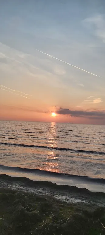 Апартаменты с террасой и камином в лесу рядом с Финским заливом