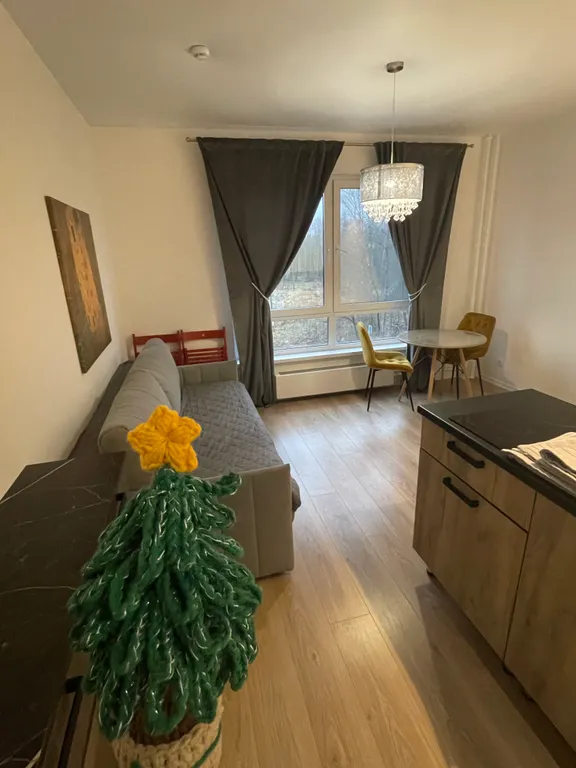 Квартира Квартира Студия с видом на лес в 10 мин от аэропорта Внуково и СК Снегирь-Арена — Москва