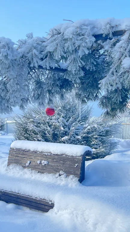 Дом для гостей