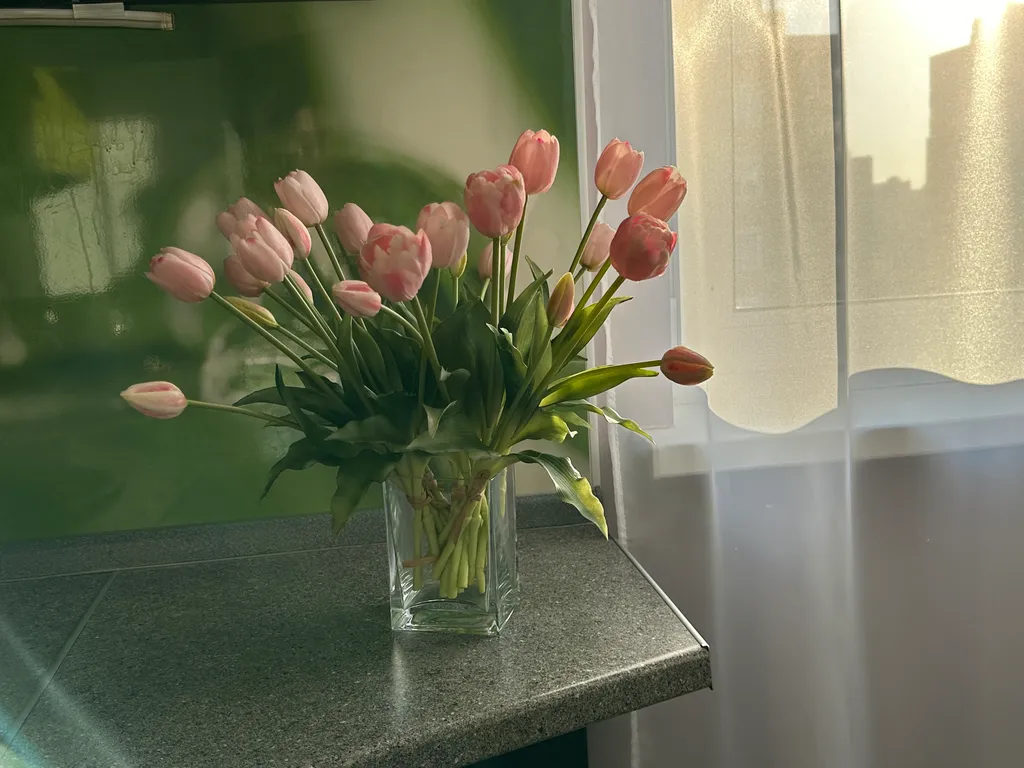 Сказочная студия у Щелковского шоссе