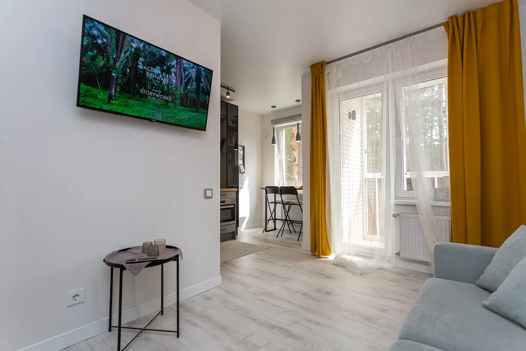 Квартира Квартира Silent lake studio apartment с видом на сосновый бор — Светлогорск