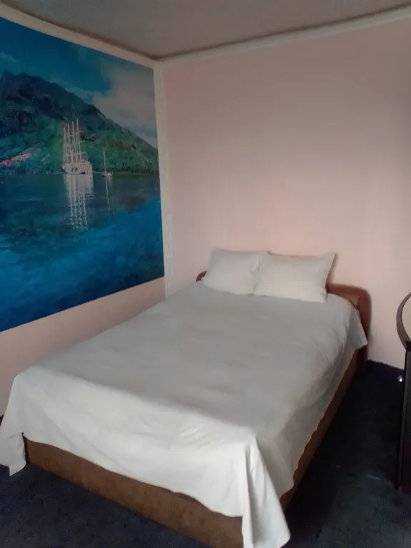 Однокомнатная квартира в центре правого берега — аренда посуточно в Красноярск