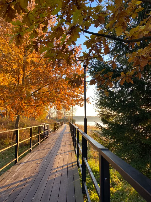 Коттедж на Неве