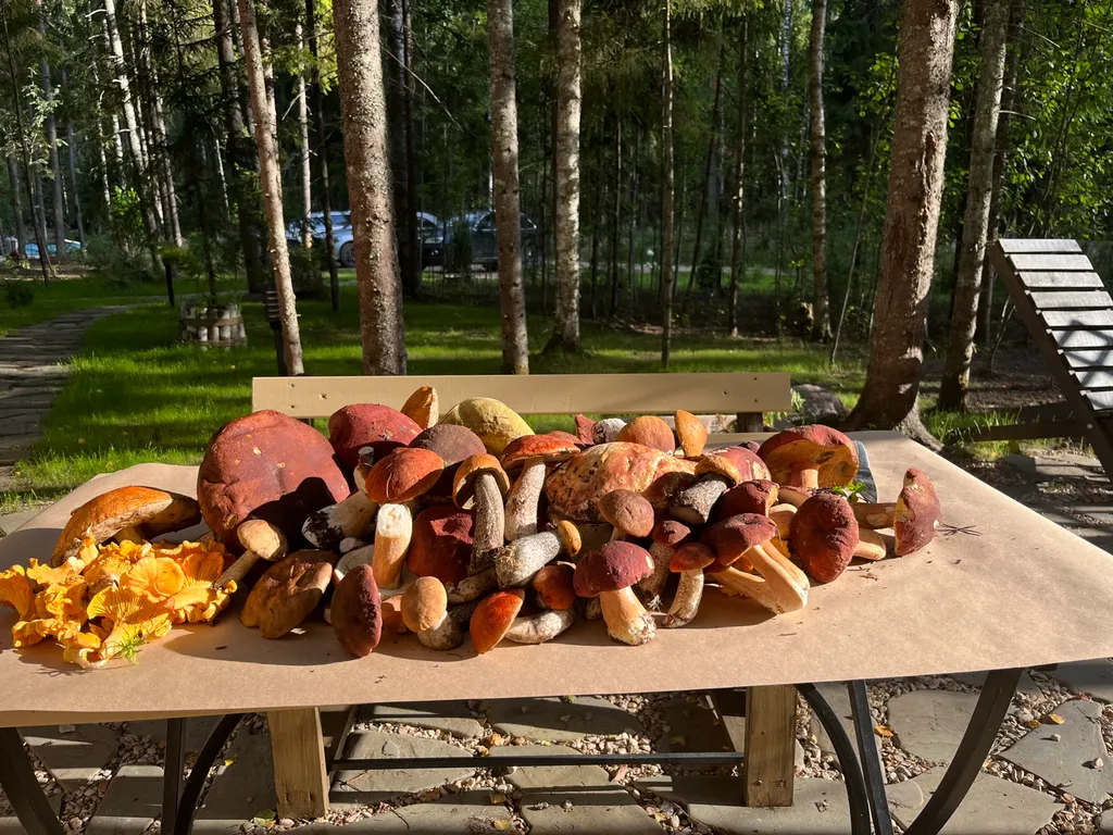 Коттедж Дизайнерский коттедж на берегу озера Волго на Селигере — Турбаза Чайка