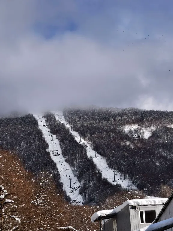 Аквапарк Галактика 100м! Газпром Лаура 450м! Сауна, мангал, купель