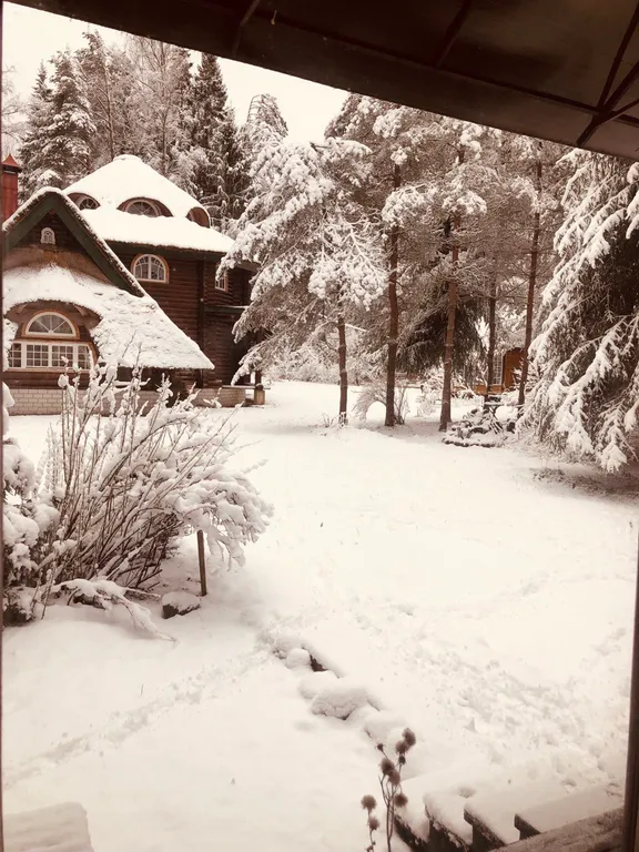 Изба (дом) из экологически чистого бревна под камышовой крышей в лесу