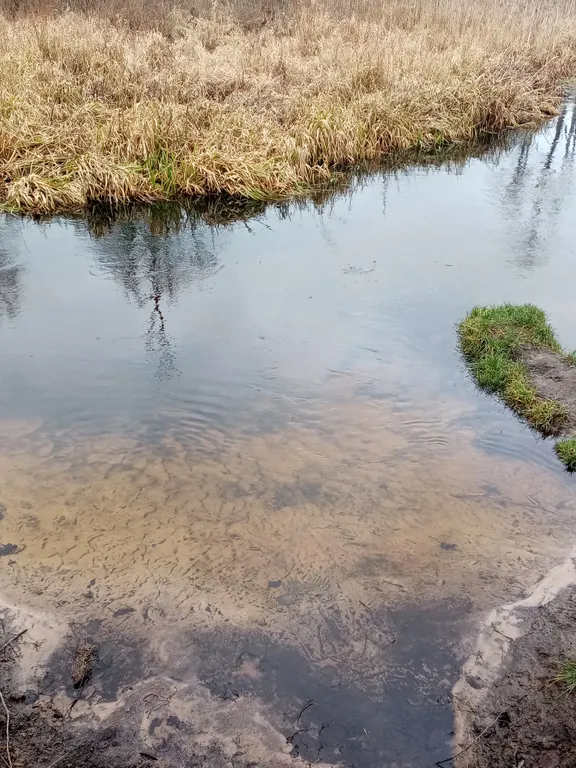 Усадьба в Беловежской пуще Пилигрим
