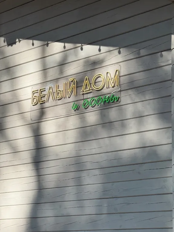 Белый дом и сосны